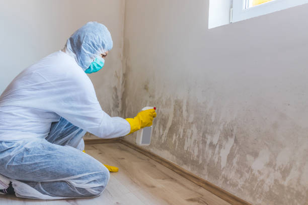 Licensed Commercial Mold Remediation service in Omena, MI - WQB Mold Removal