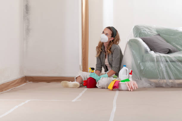 Reliable Commercial Mold Remediation contractor in Omena, MI by WQB Mold Removal